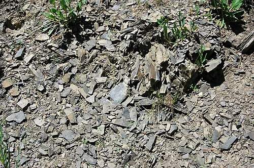 Exposed phosphate-bearing rock